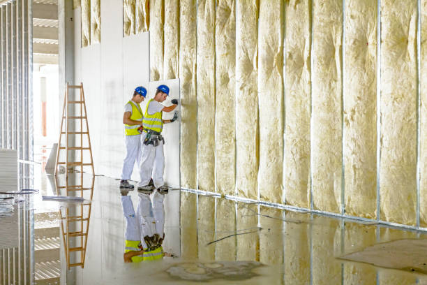 Types of Insulation We Offer in Dunn, NC